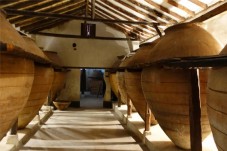 Visita a Bodega con Cata de Vinos para dos en Madrid 